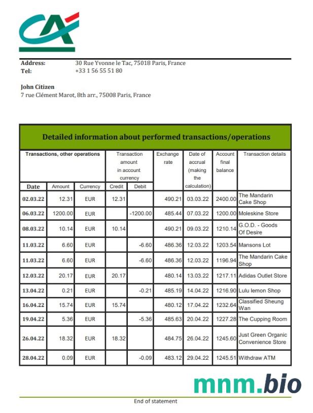 Szablon wyciągu bankowego France Citibank w programie Word i PDF